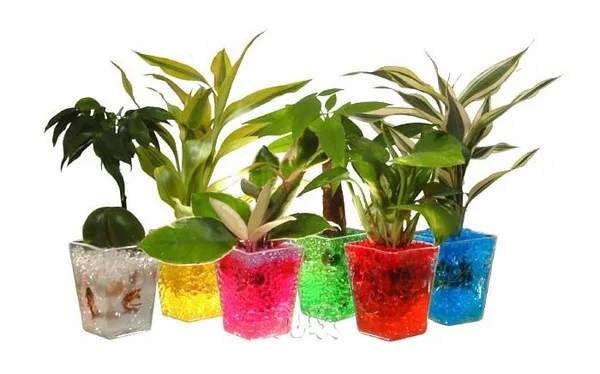 water storing jelly crystal mud soil