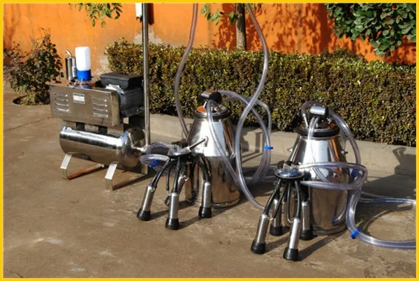 pipeline milking machine for cow and goat sheep cattle camel donkey