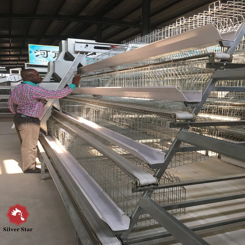 China Factory Direct Sales Poultry Equipments layer Chicken Cage/Automatic Chicken Cage&Poultry Chicken Cage