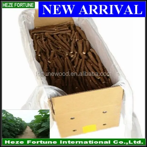 Легкая посадка, рассады корней павловнии, оптовая продажа с завода