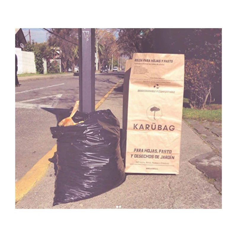 Recycled Heavy Duty Stand Brown Kraft Paper Lawn and Leaf Refuse Bag for Home and Garden Collect Tools