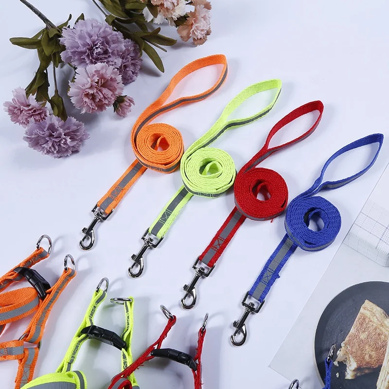 M4 Strong Nylon Dog Leash with Comfortable Neoprene Padded Handle