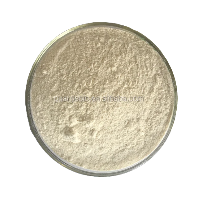 
100% Nature Product Panax Ginseng Root Extract Powder / Ginsenoside 4% 30% 80% by HPLC / UV 