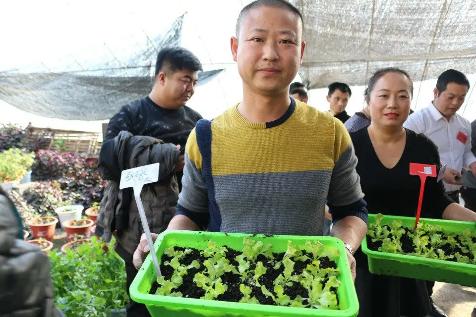 Hot sale healthy fodder system water-saving cattle green fodder growing machine