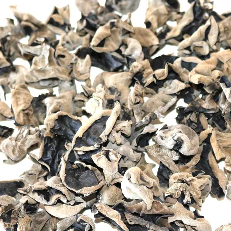 
dried polysaccharide fungus mushroom black agaric 