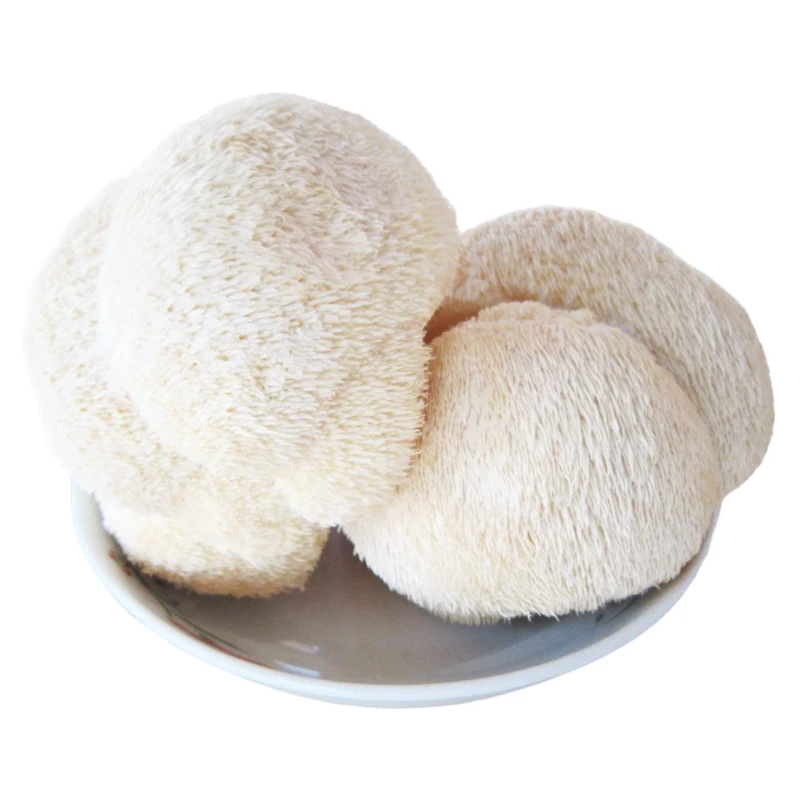 USDA органический/30% бета-D-глюкан добавка/экстракт воды Львиная Грива порошок