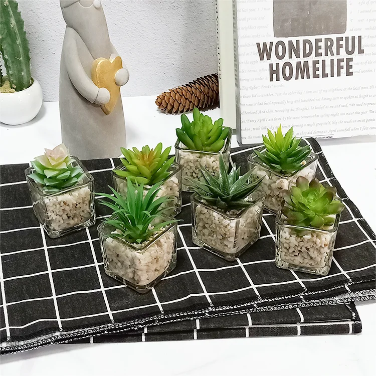 Small Glass Cube artificial succulent mini potted succulent faux plant set