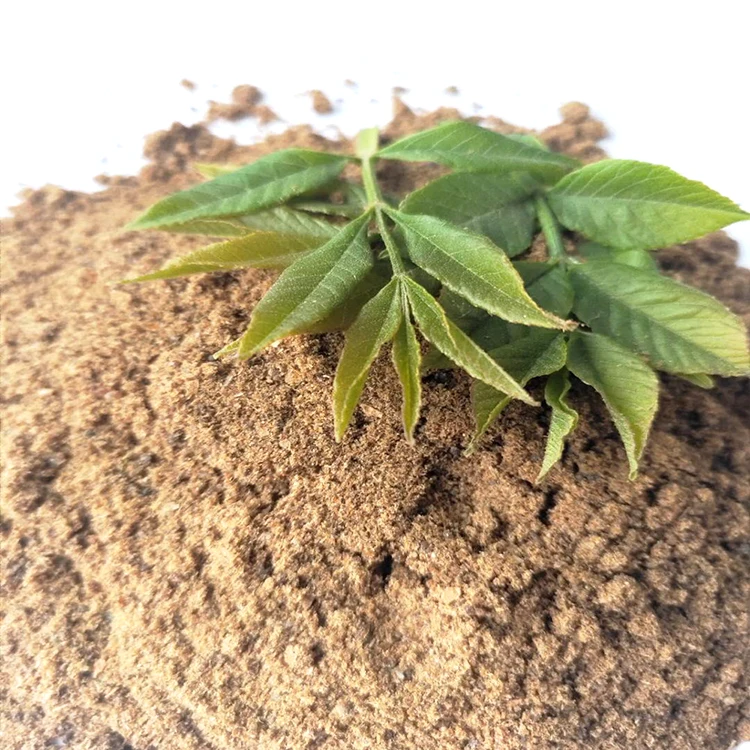 Best selling items discus fish food with factory hot sale