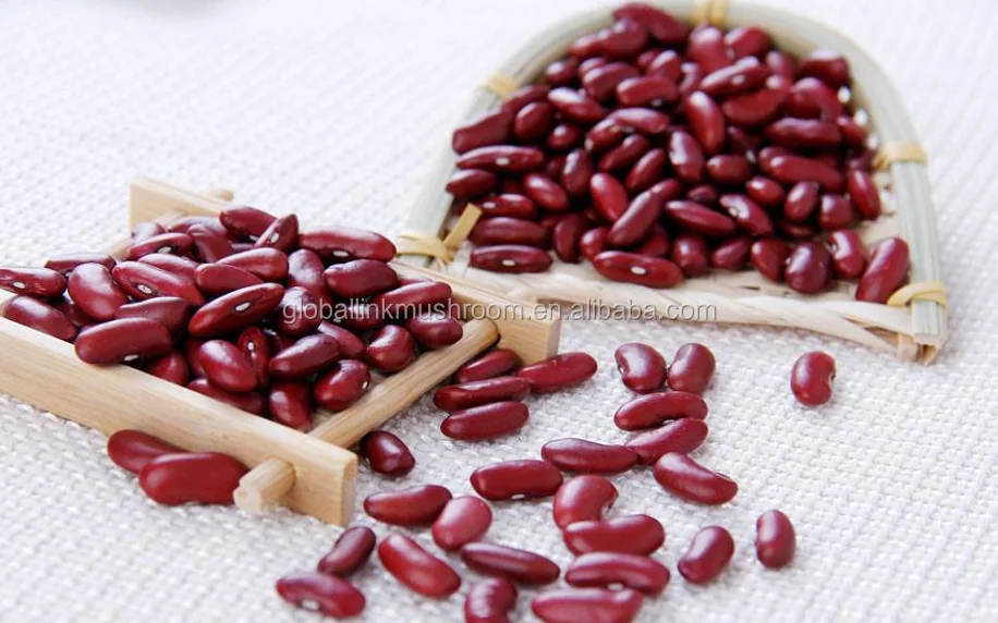New Crop Red Kidney Beans British red kidney baens