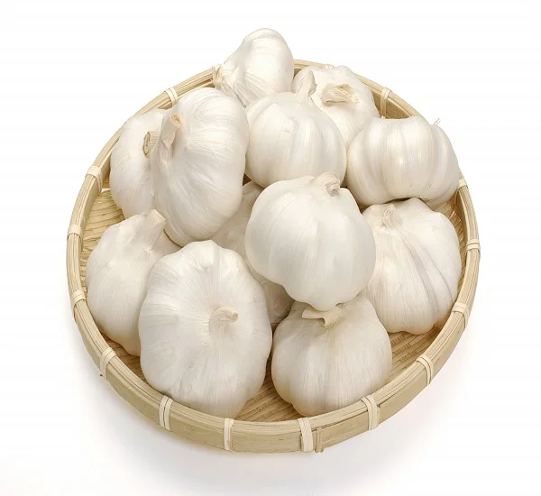 2020 new crop type buy china natural fresh garlic pure white garlic price
