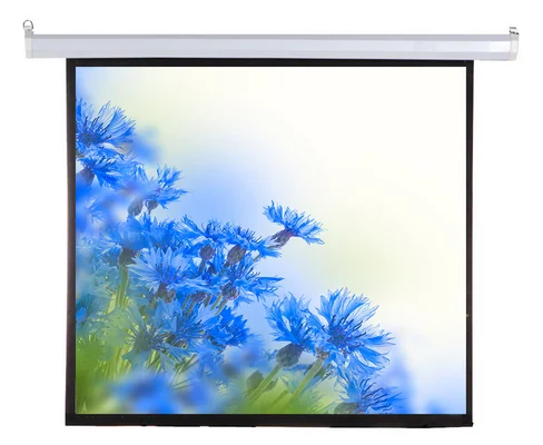 300 дюймов Большой моторизованный экран проектора с бесшовной ткани