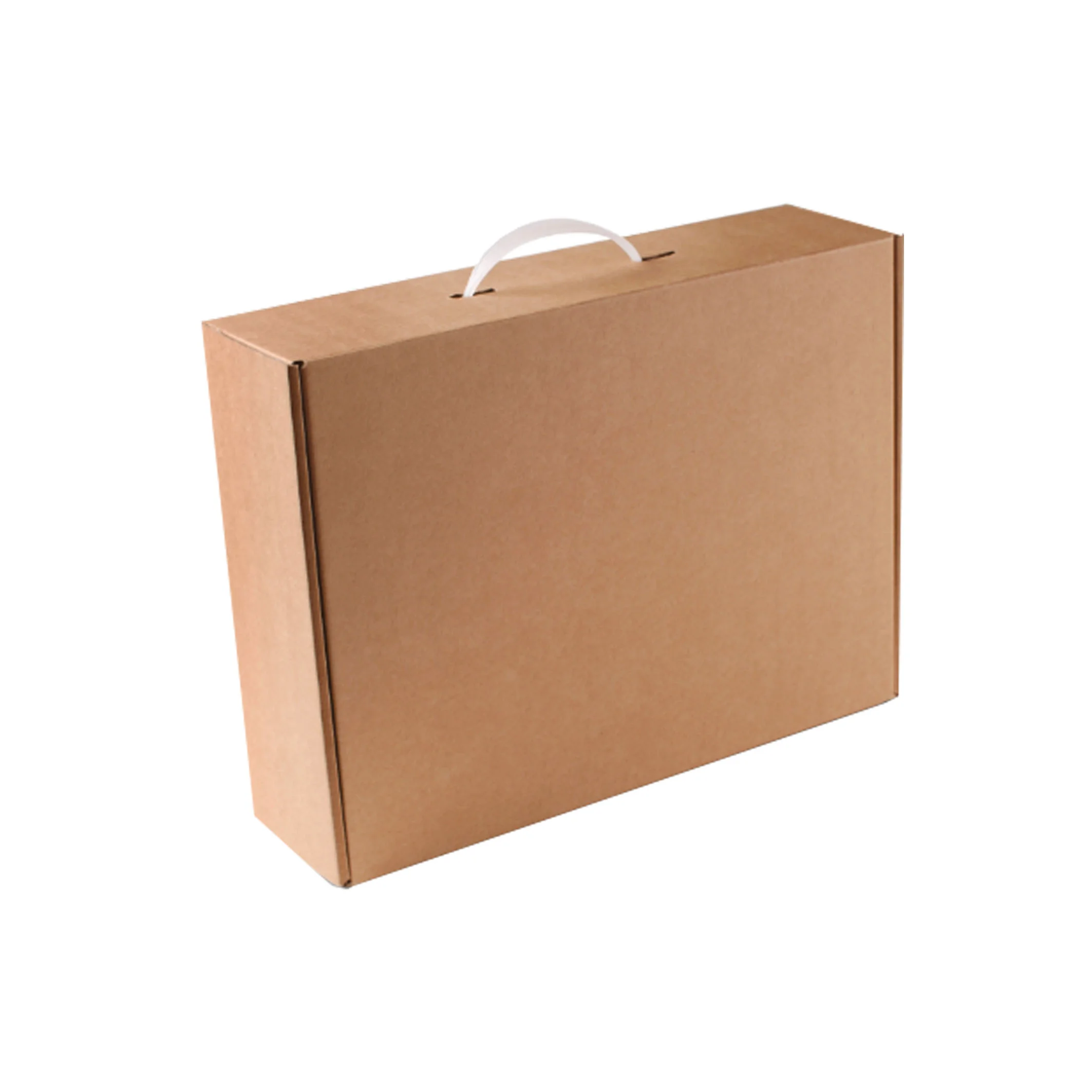 Carrying Case Mailer Box With Handle