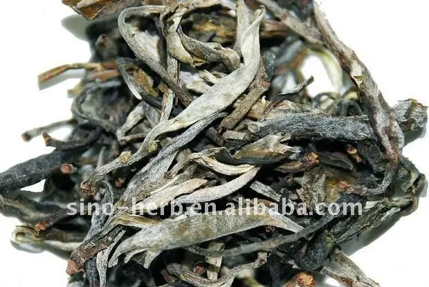Free Sample Organic Green Tree Chinese Ancient Green Tea