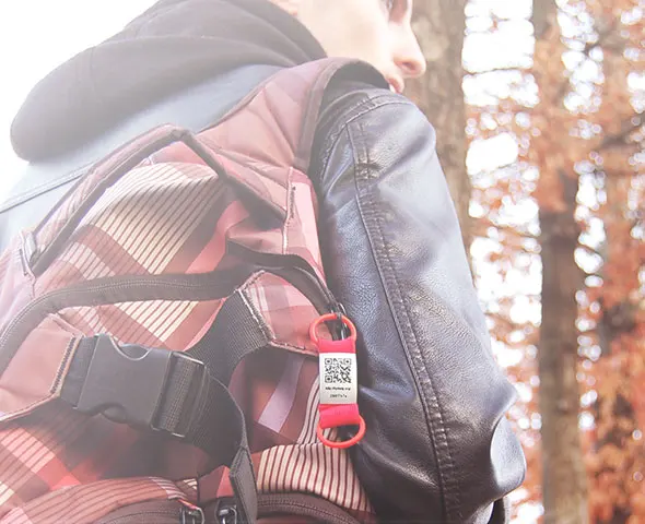 Factory wholesale stainless steel multi design black blank bone cat dog tag with hook pet collar tags accessories