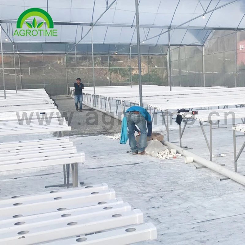 hydroponic systems for grow lettuce