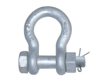 AISI 304 316 Stainless Steel Galvanized Carbon Steel Drop Forged Safety Anchor Shackles Screw Pin shackle