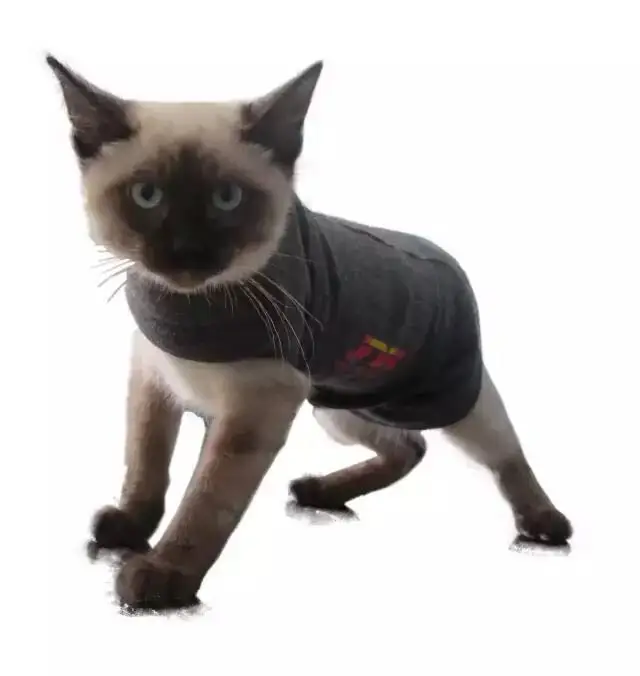 
Thunder shirt for Cats 