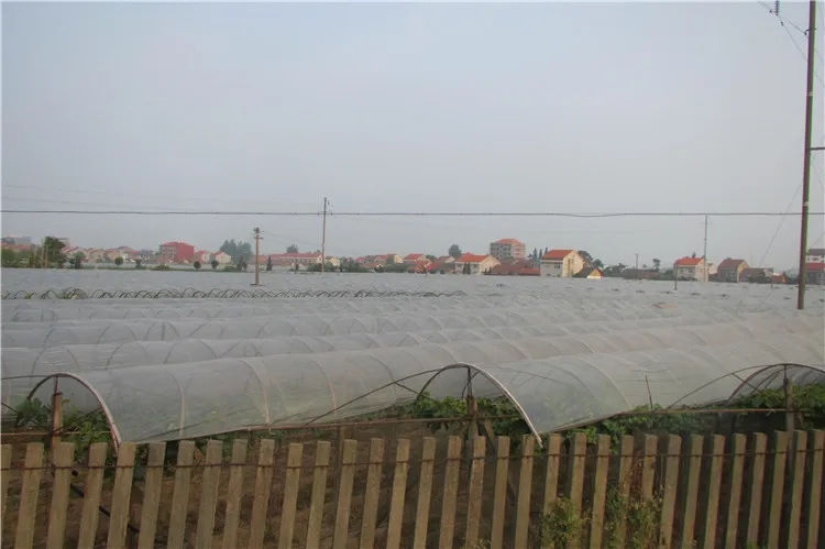 Сельское хозяйство полиэтиленовой пленки высокого качества ЕВА тепличной пленки