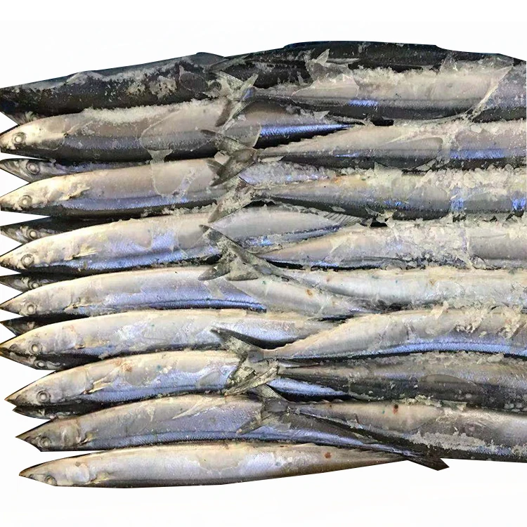 
2021 new Wholesale frozen seafood whole pacific saury price for sale frozen pacific saury w/r 