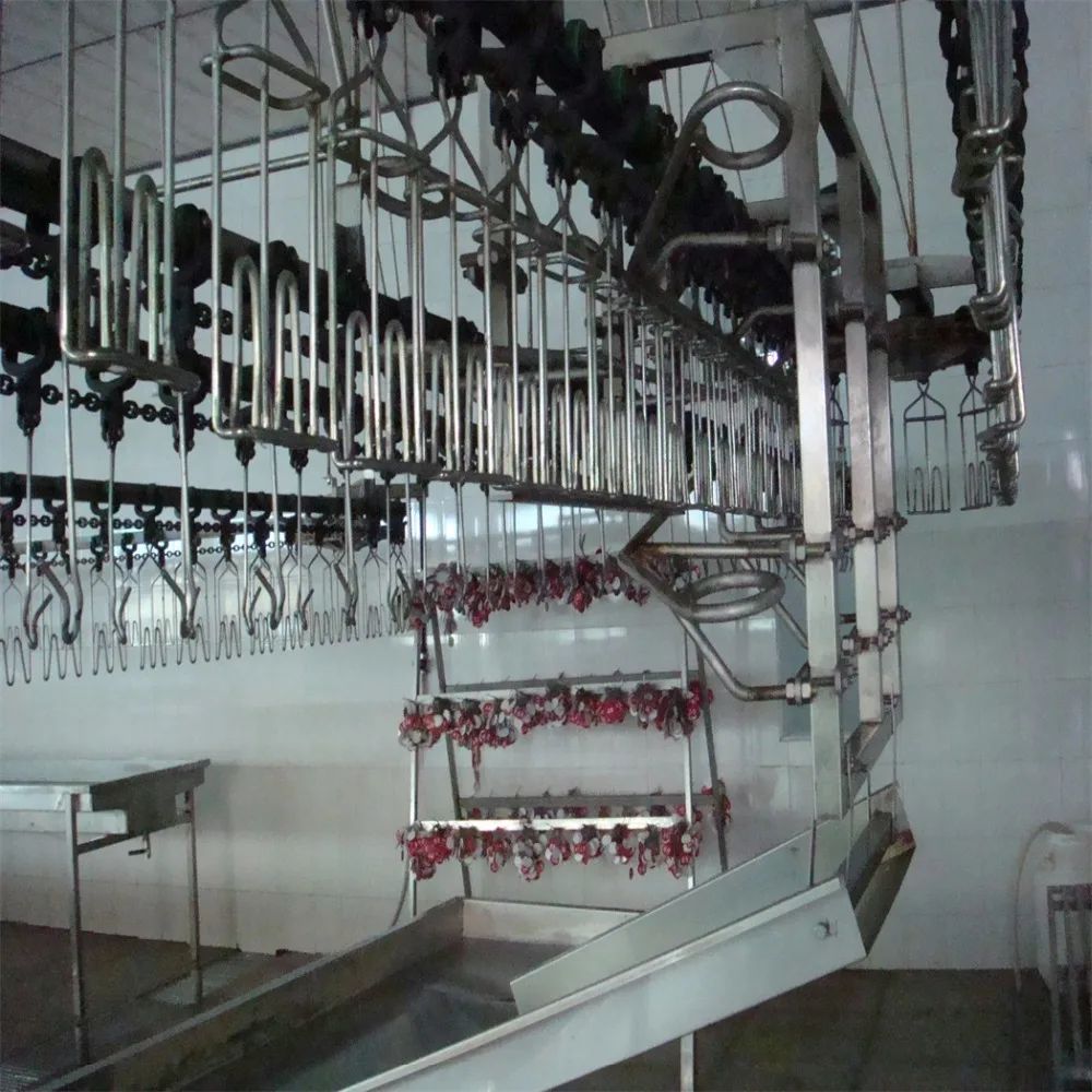 small fully automated chicken meat processing plant