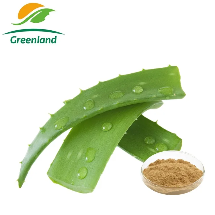 Factory Price Natural Aloe Vera Extract with 95% Aloin