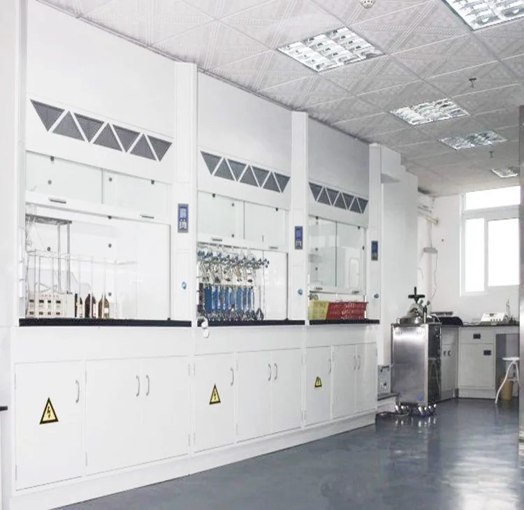 Walk in Steel Chemical Laboratory Fume Hood / chemical fume cupboard mobile fume hood price china