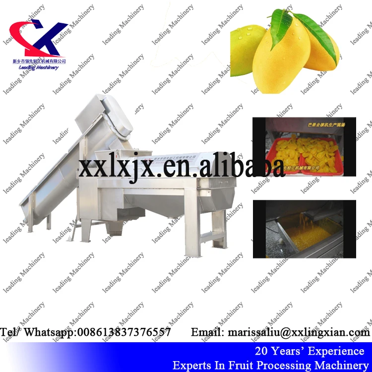 Промышленные фрукты целлюлозы оборудования 5TH манго дробилки сок манго завод используется