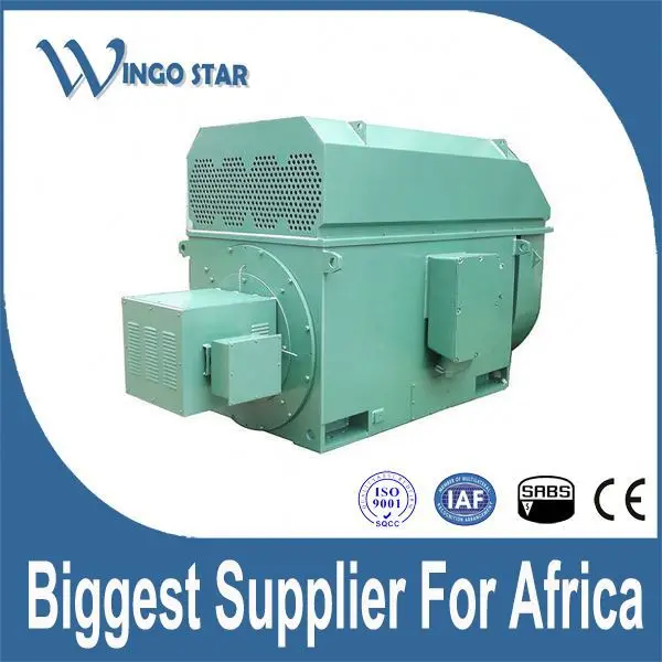 Высокого Напряжения IEC водонепроницаемый двигателя