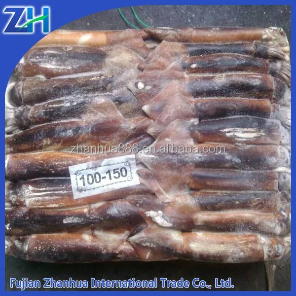 Argentina Squid For Tuna Bait Squid Raw Material