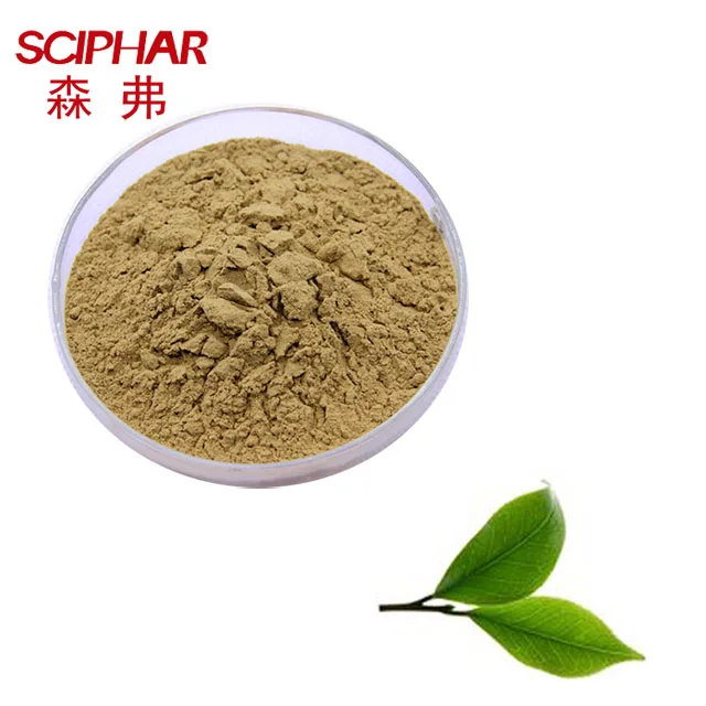 Горячий продукт экстракт зеленого чая/98% полифенолы чая/порошок экстракта чая