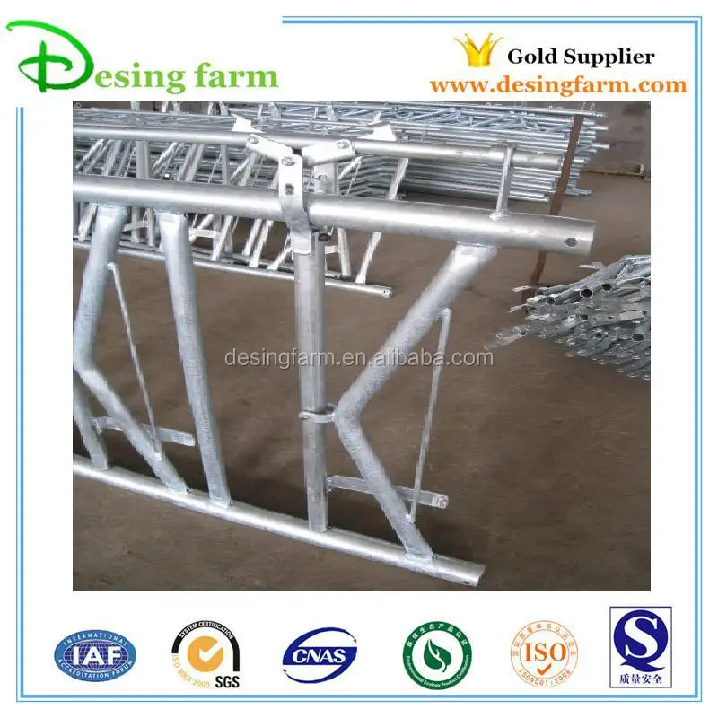 10ft hot dip galvanized dairy cow headlock