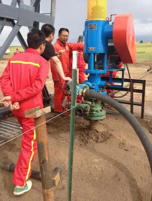 Artificial Lift 50HP Single Motor Ground Driving Device for PC Pump Rod Pump