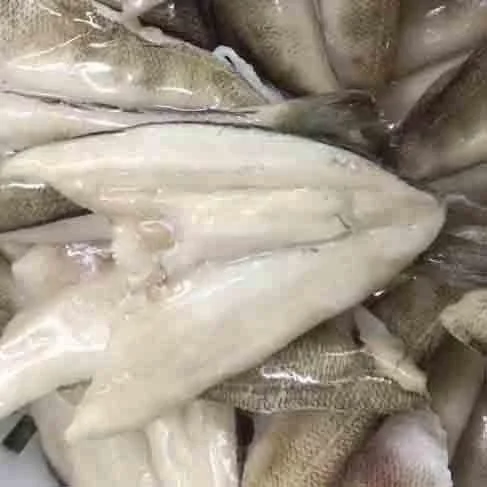 Supply Korea Market Frozen Cod Icefish Butterfly