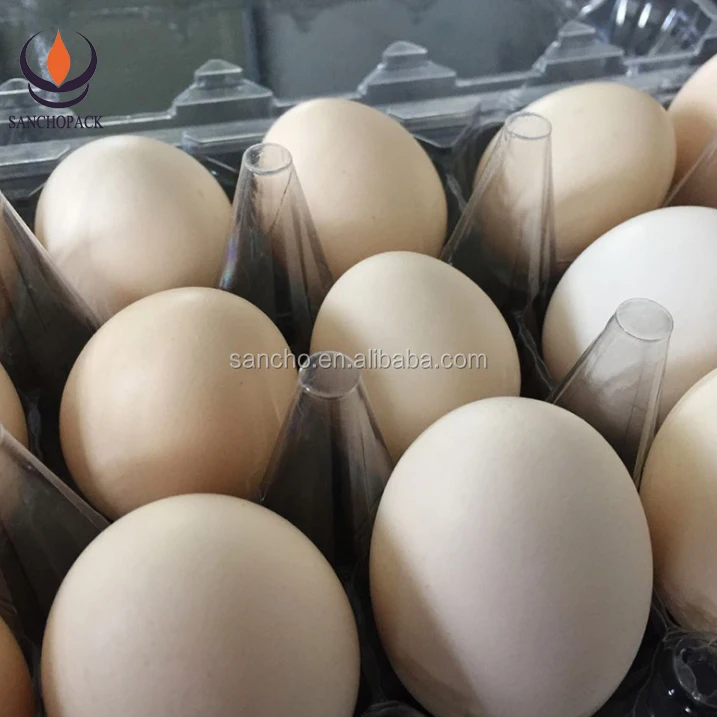 Пластиковая Картонная коробка для упаковки яиц 12 разных размеров по низкой цене