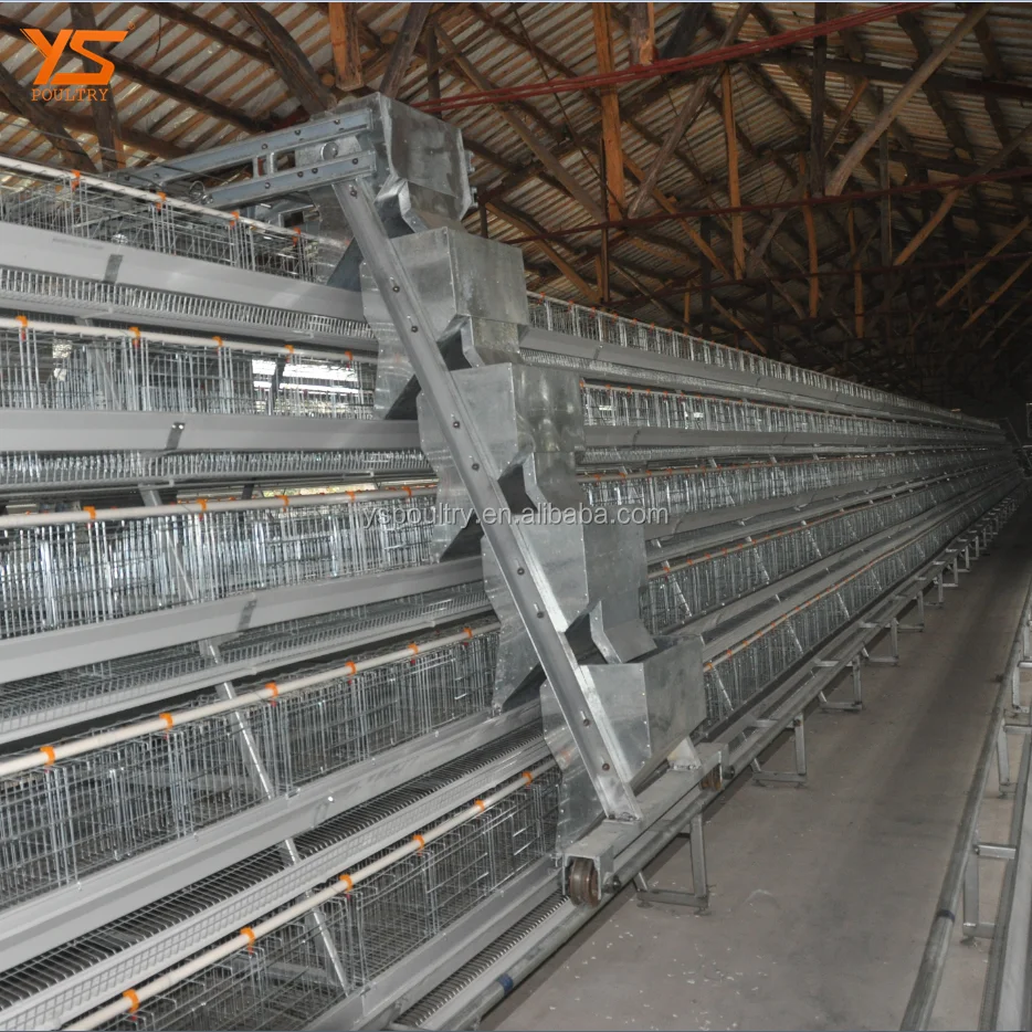 
Hot Galvanized A Type Battery Chicken Layer Cage 