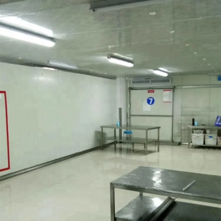 Hot Sale easy installation Copeland mobile modular chambre froide condensing unit cold storage room