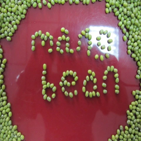china food grade green beans high protein green mung bean