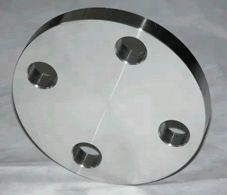 Standard JIS 20K SS316L forged Plate Flanges