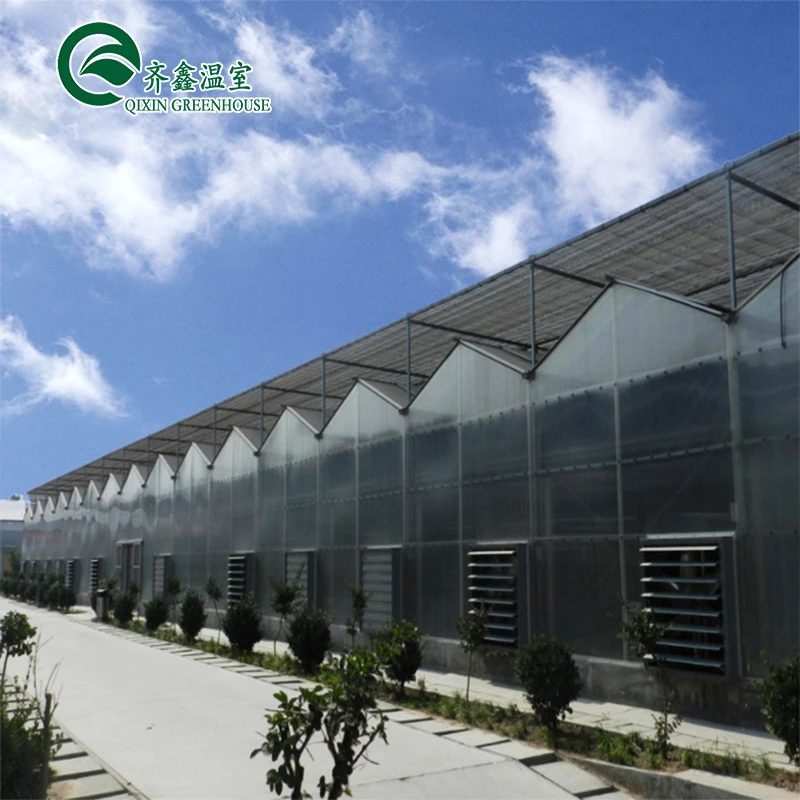 Aquaponic Tomato Galvanized Steel Pipe For Prefabricated PcTent Greenhouse