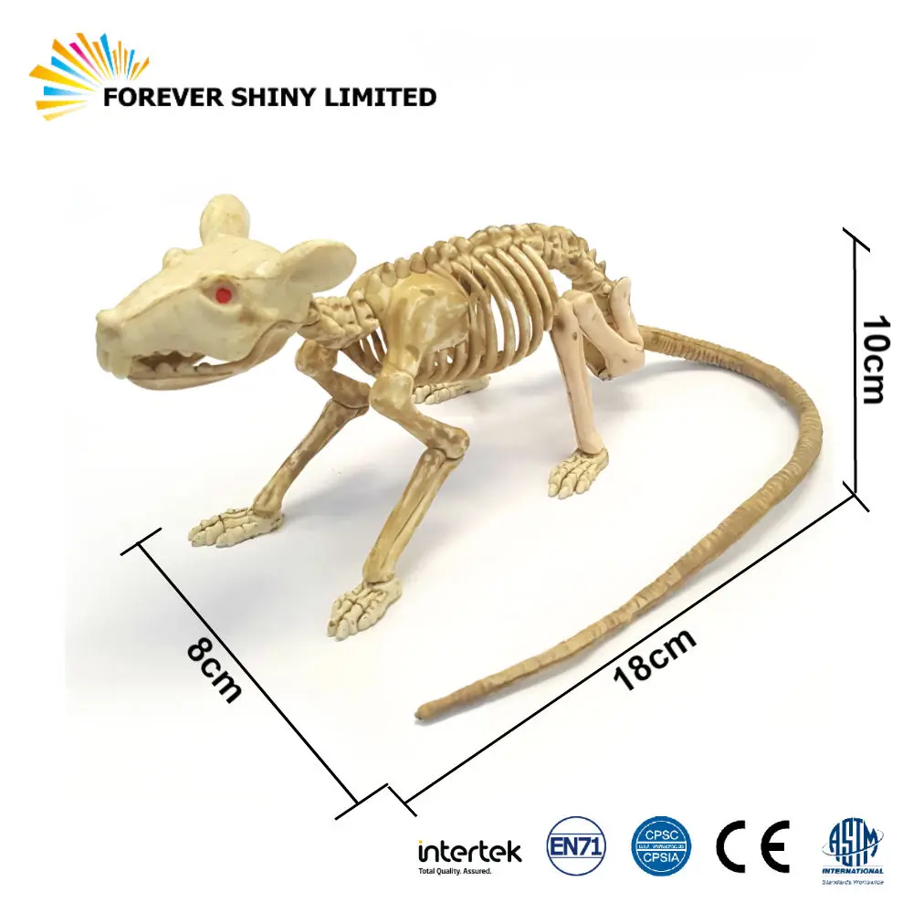 Detailed Realistic Miniature Unique Novelty Model Toy Animal Halloween Plastic Movable Skeleton Cat and Rat Figurine Set