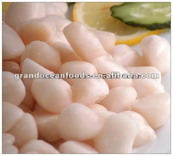 Frozen Scallop Meat,IQF