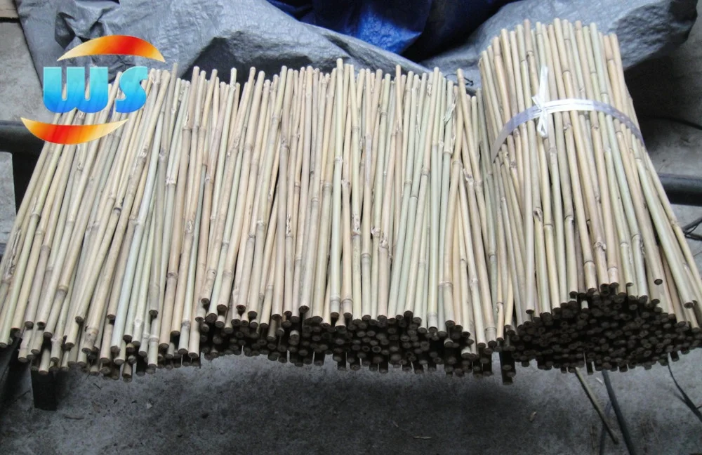 Timber Raw Materials/Bamboo pole for variety show performance