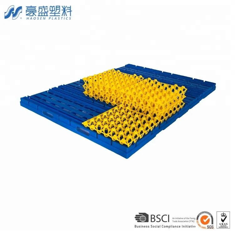 egg divider for egg tray