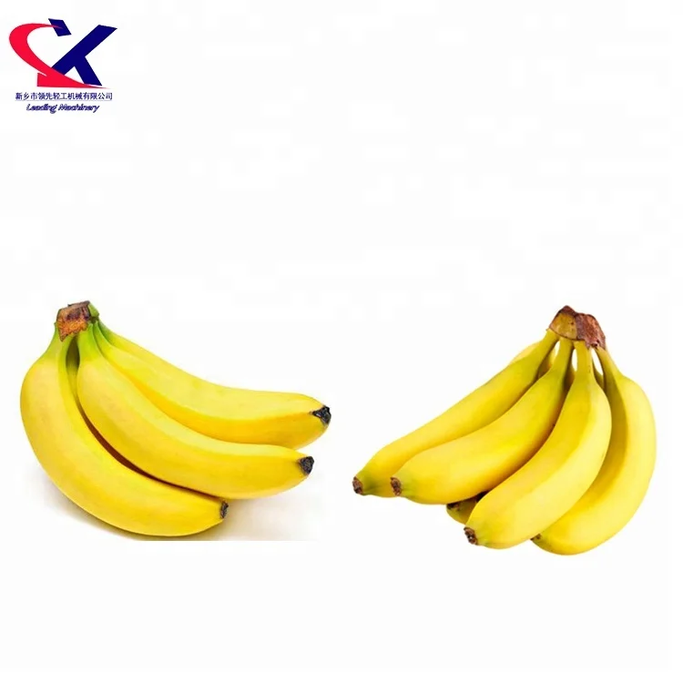 Advanced Juicer Production Line Processing Machine 3000KG/H Automatic Industrial Banana Juice Making Machine