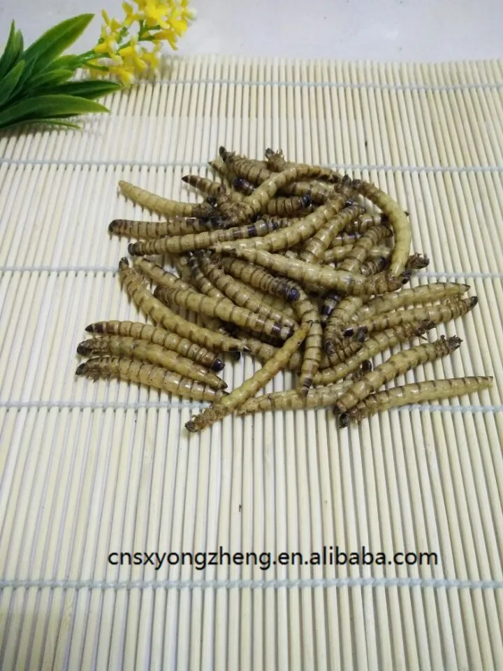 4A8817DCD6E734432828F81D9255759B