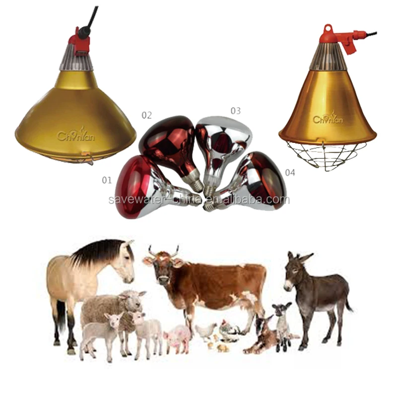 Infrared Heat Lamp Shade With Lighting Bulb For Poultry/Animals Pig/Cattle/Sheep/Chiken