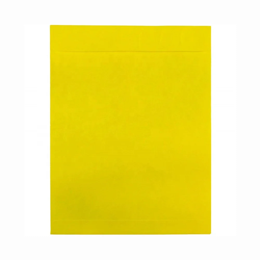 Custom Tyvek Tear Proof Open End Catalog Envelopes 10 x 13 inch Sizes