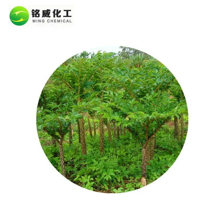 Pure Natural Konjac Glucomannan Powder Konjac Root Extract Supplier