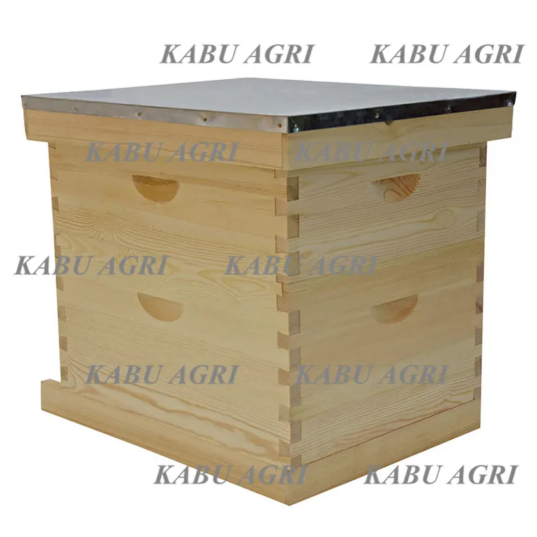 10 Frame langstroth beehive beginner kit