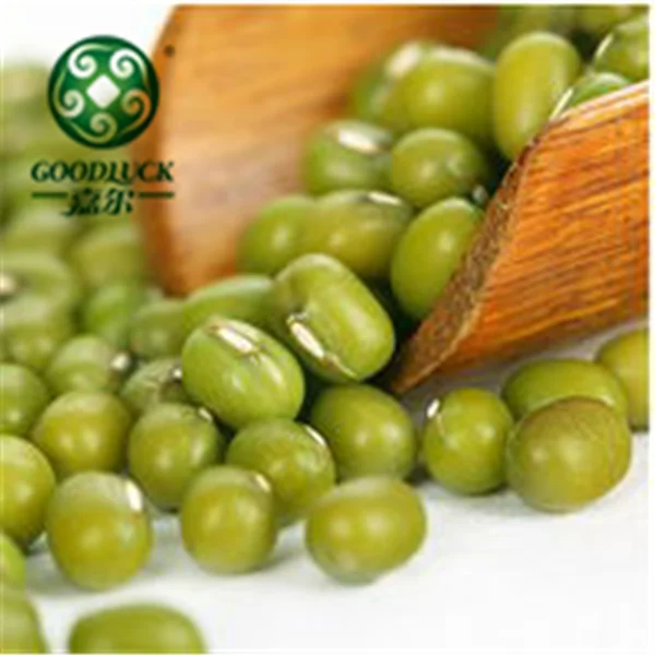 
Price for Fresh Green Mung beans/ Urad Dal/ Gram/Peas for Sale Competitive Price 